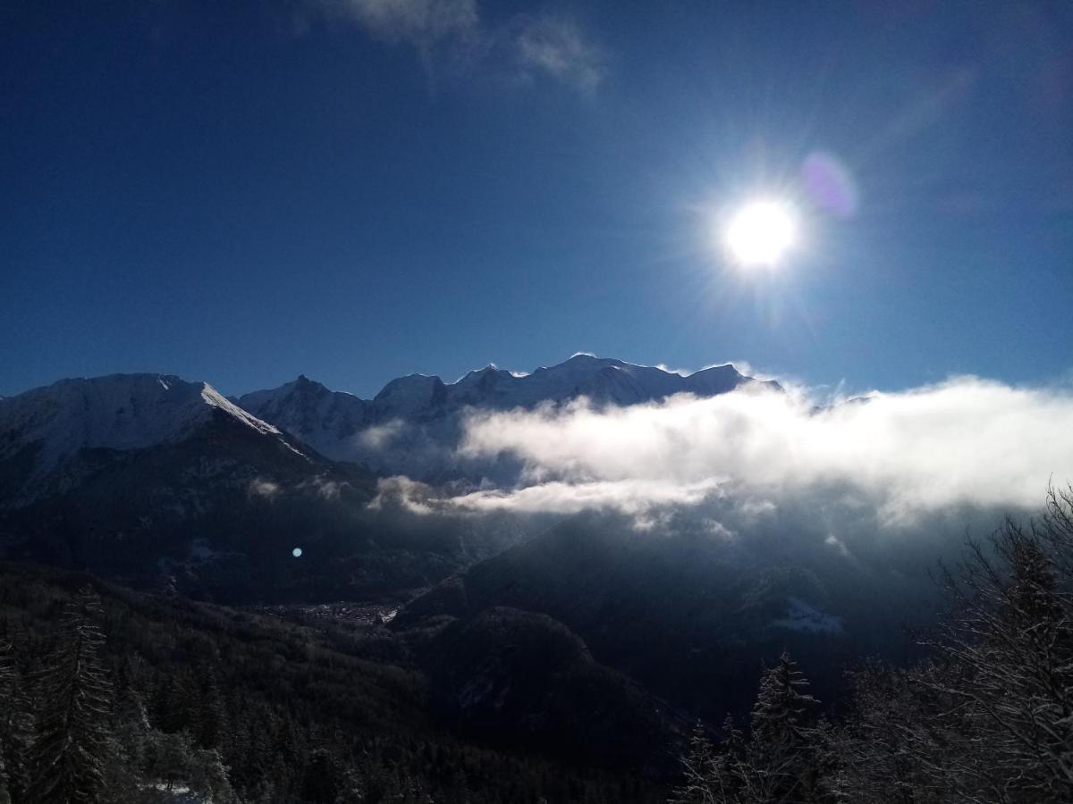 Mont Etape , F2, 42 M2, Calme, Vue Mt Blanc Lägenhet Passy  Exteriör bild