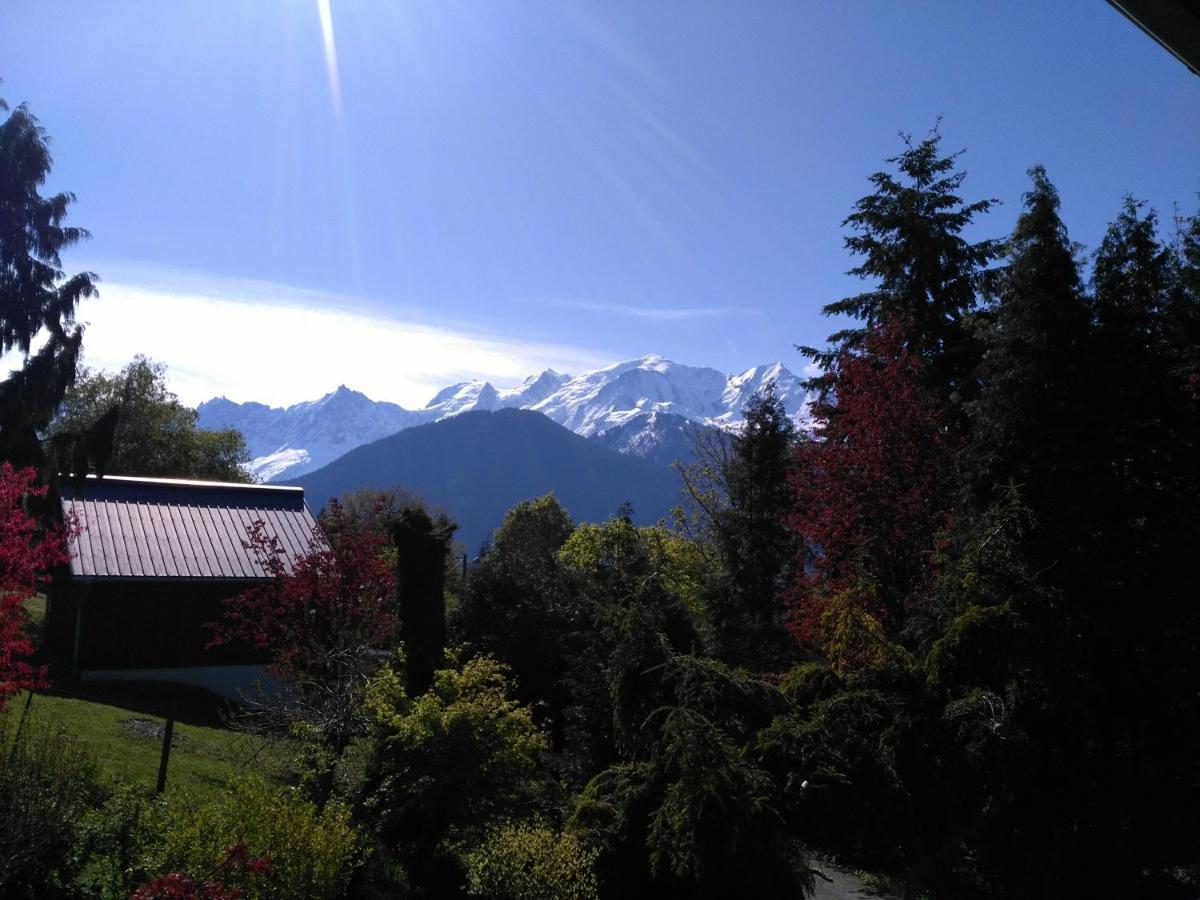 Mont Etape , F2, 42 M2, Calme, Vue Mt Blanc Lägenhet Passy  Rum bild